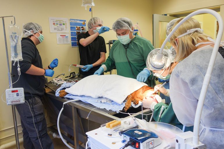 Estudiar en Canberra Institute of Technology